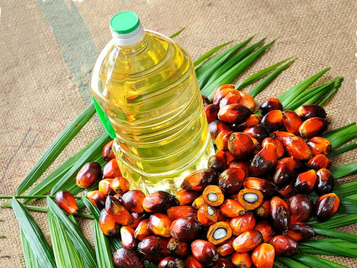 Пальмовое масло – продукт, обросший мифами и домыслами Бытует мнение, что следует избегать продуктов, в составе которых есть пальмовое масло Чтобы разобраться, так ли это, мы изучили его состав, свойства и влияние на организм Оказывается, пальмовое масло