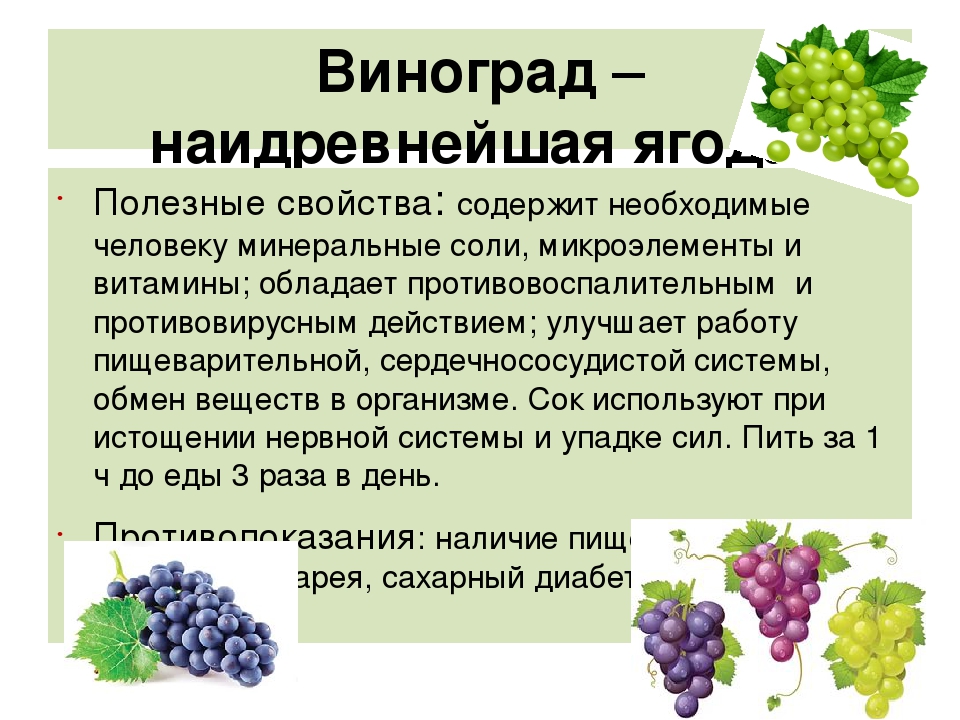 Виноград: калорийность на 100 грамм, польза, вред, витамины, минералы – хорошие привычки