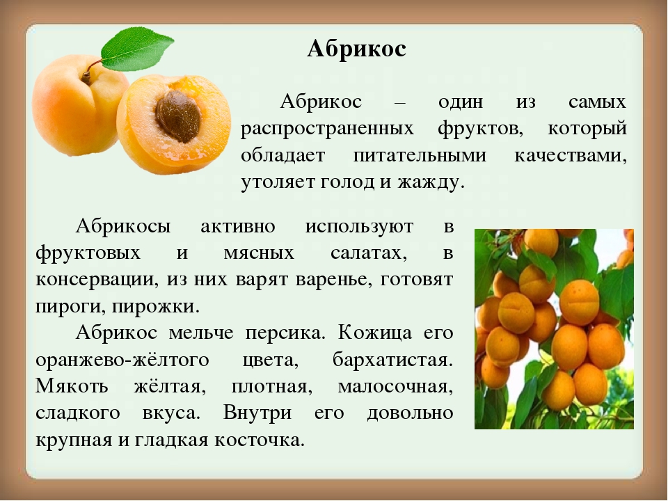 Абрикос: калорийность фрукта и его польза для худеющих
