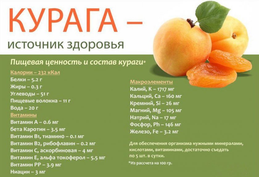 Абрикос, полезные свойства абрикоса, состав, применение и противопоказания. фото абрикоса.