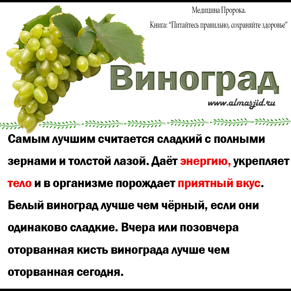 Виноград: польза и вред, калорийность, полезные свойства, применение