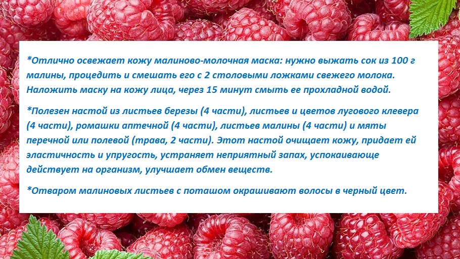Калорийность свежей малины на 100 грамм, интересности о ягоде