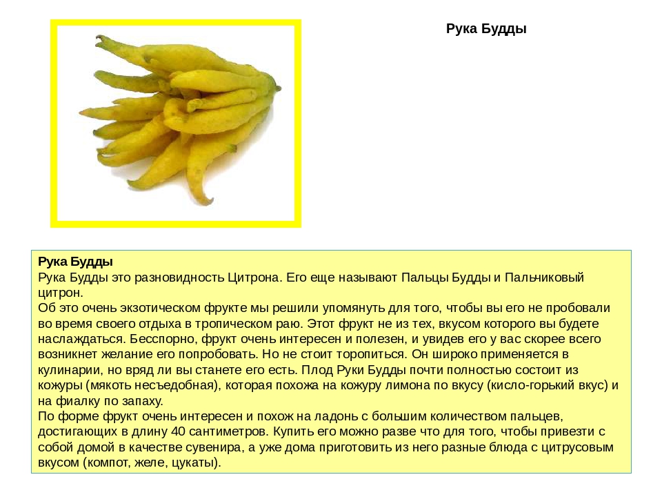 Что такое фруктоза, польза и вред | официальный сайт – “славянская клиника похудения и правильного питания”