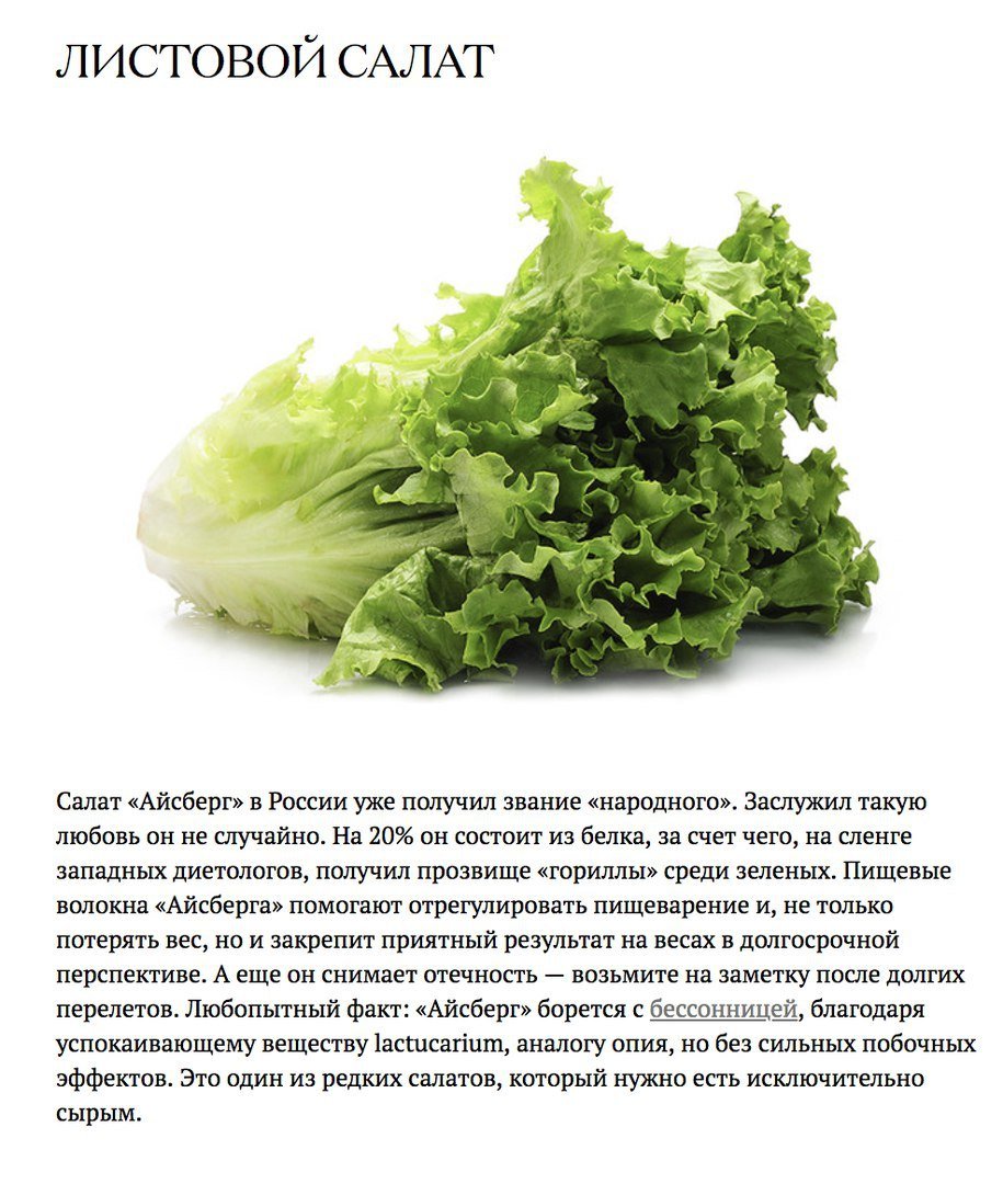 Листовой салат: польза и вред для здоровья, полезные свойства и противопоказания