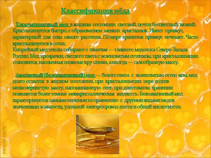 Акациевый мед: полезные свойства и противопоказания
