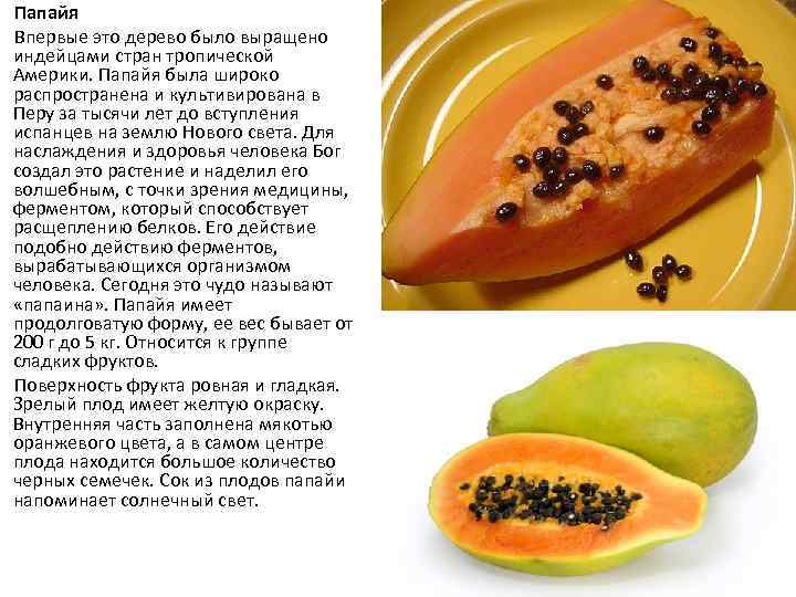 Фрукт папайя - как выглядит и его полезные свойста.