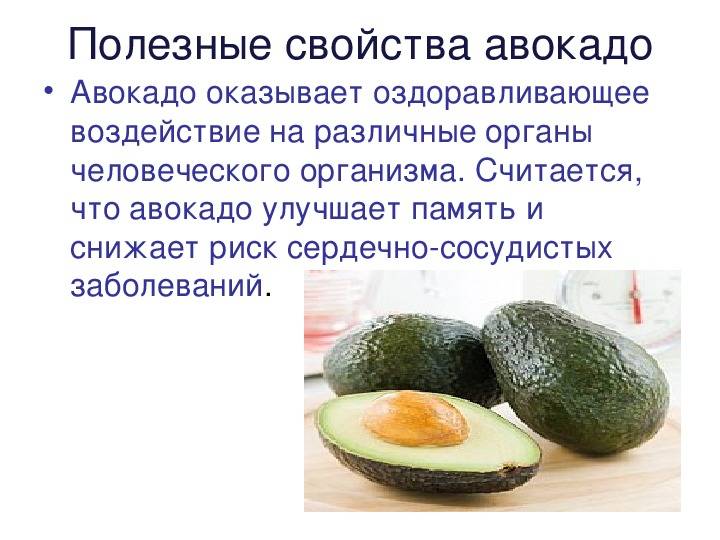 Авокадо - полезные свойства и противопоказания. польза авокадо для женщин и мужчин