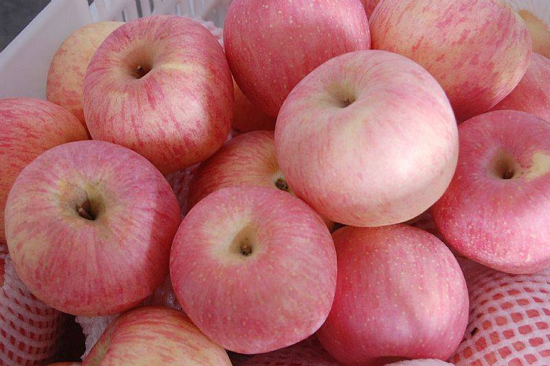 Гренни смит, яблоки: польза, вред и калорийность :: syl.ru
