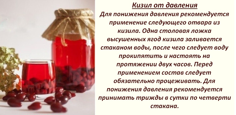 Кизил - описание с фото; состав витаминов и минералов; польза и вред ягод