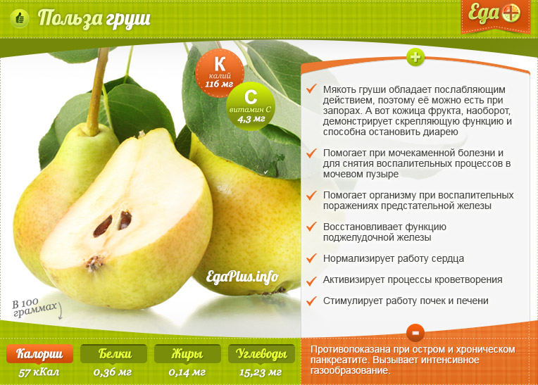 Яблоки — описание, польза и вред для организма, состав, калорийность, рецепты приготовления, фото