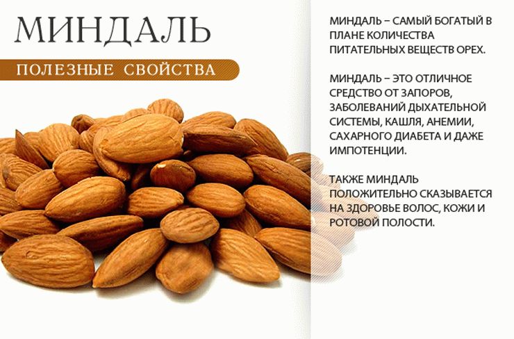 Фундук орехи: польза и вред для организма, сколько нужно съесть