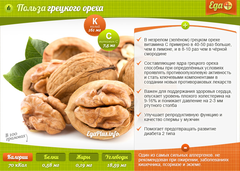 Орешки чинарики: где растут, буковые орешки полезные свойства, fagus sylvatica