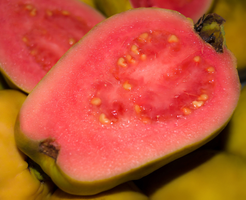 Гуава — описание с фото полезных свойств, вреда и противопоказаний экзотического фрукта; его использование в лечении и кулинарии