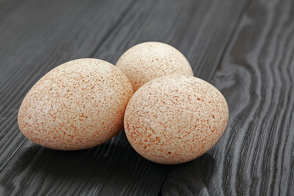 Яйцо индюшиное - полезные свойства, описание продукта с фото, рецепты