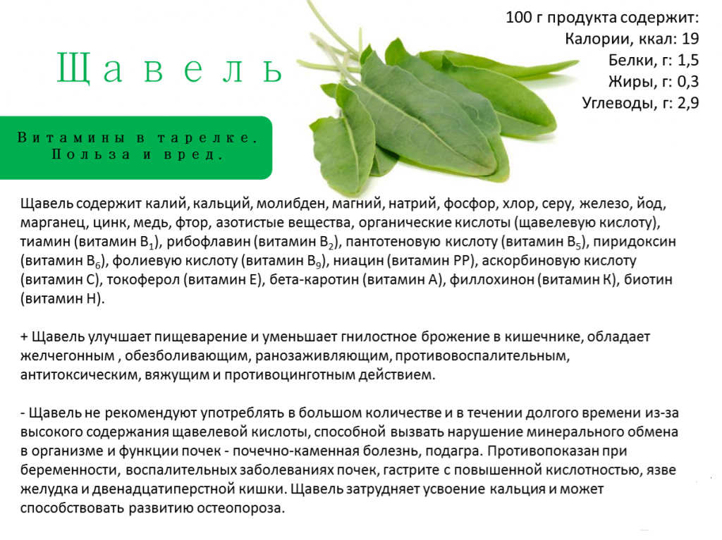 Польза листового салата: виды, для, организма, чем полезен, вред, рецепты, состав, полезные свойства, пищевая ценность