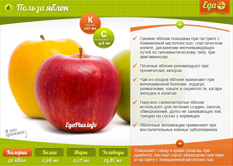 Польза и вред яблок для здоровья, калорийность, витамины, эффекты