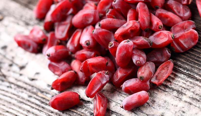 Сушеный барбарис: полезные свойства ягод | food and health