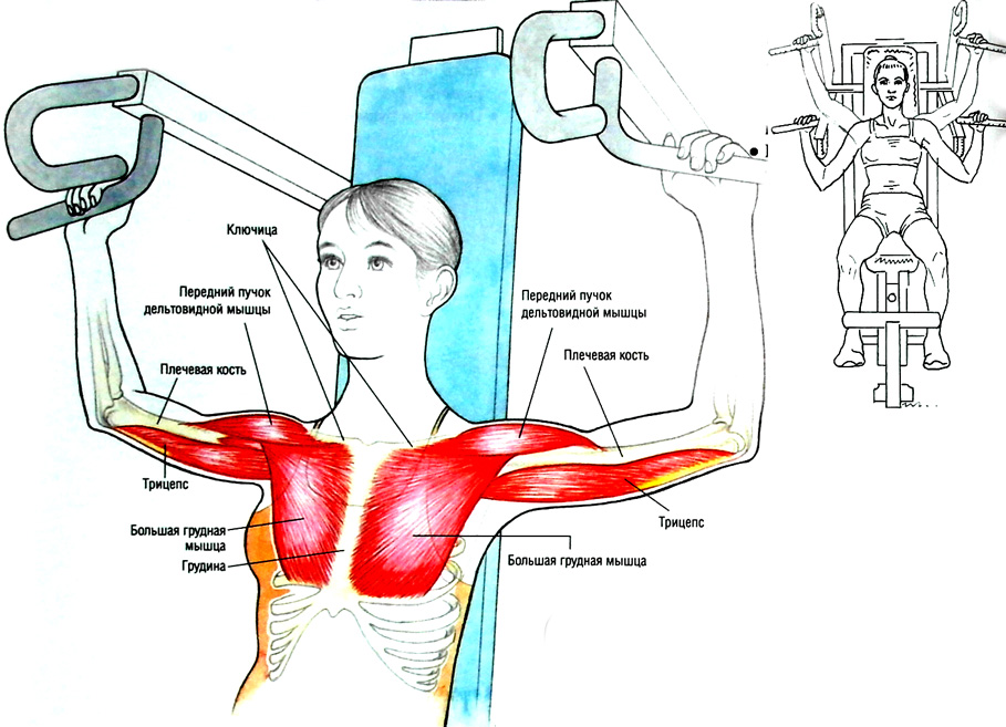 Жим в тренажере на плечи: техника выполнения, какие мышцы работают