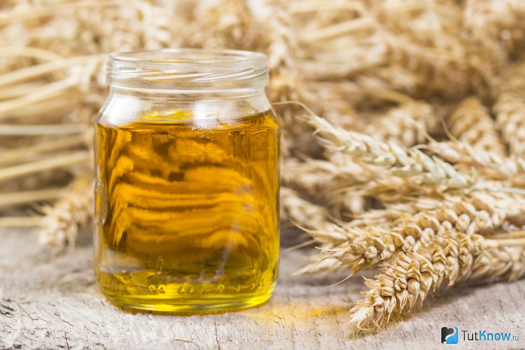 Пшеница: польза и вред, описание, свойства, влияние на здоровье