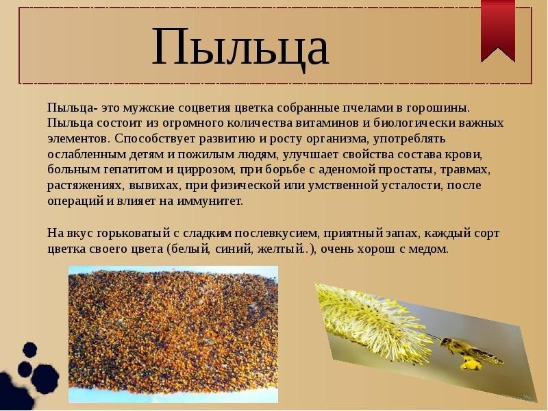Пчелиная пыльца — лечебные и полезные свойства, как принимать и противопоказания