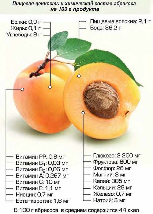 Урюк: сушеные абрикосы, польза и вред для организма взрослых и детей, отличие урюка от кураги и кайсы