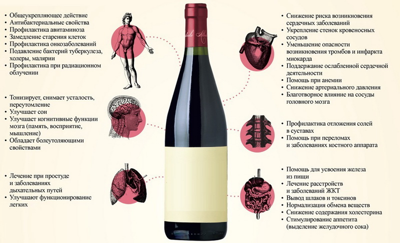 Вино красное сухое: калорийность, полезные свойства, польза и вред, описание
