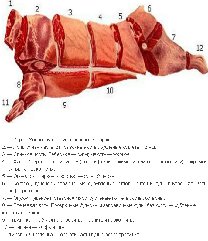 Мясо - определение, виды и типы мяса