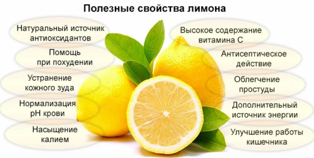 Лимон – полезные свойства, состав и противопоказания