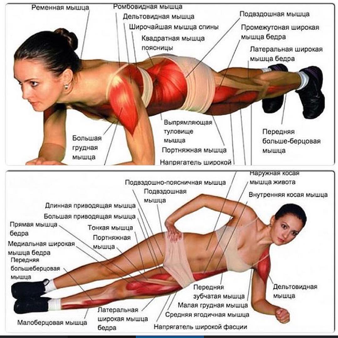 Обратная планка — гимнастическое упражнение Выполняется с весом тела, аналоги есть в йоге, пилатесе и большинстве оздоровительных гимнастик