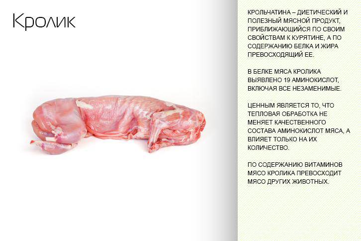 Мясо кролика: польза и вред для организма и состав