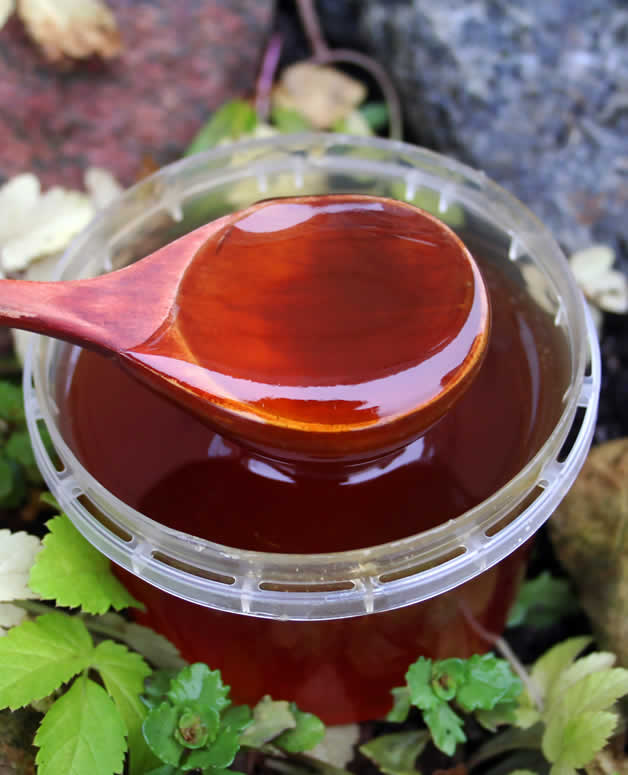 Алтайский дягилевый мед: свойства, особенности применения