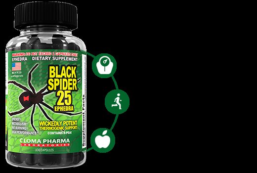 Жиросжигатель black spider: описание, свойства и правила приема мощного препарата