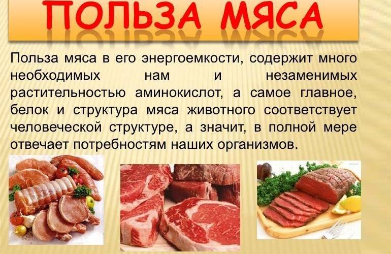 Как выбрать и приготовить мясо козы