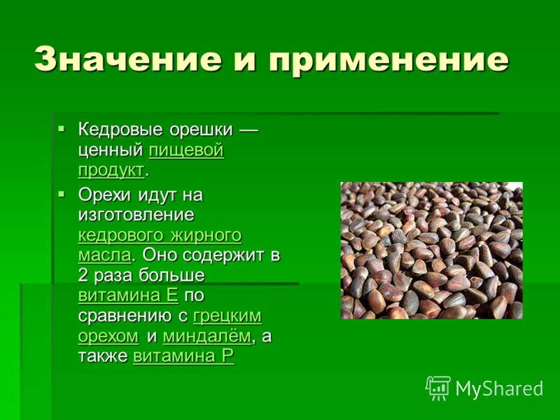 Калорийность кедровых орехов на 100 грамм, состав и польза