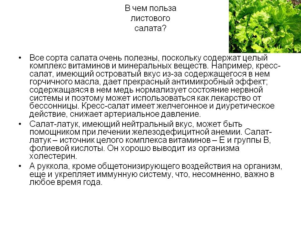 Водоросли чука: полезные и вредные свойства, калорийность, фото - samchef.ru