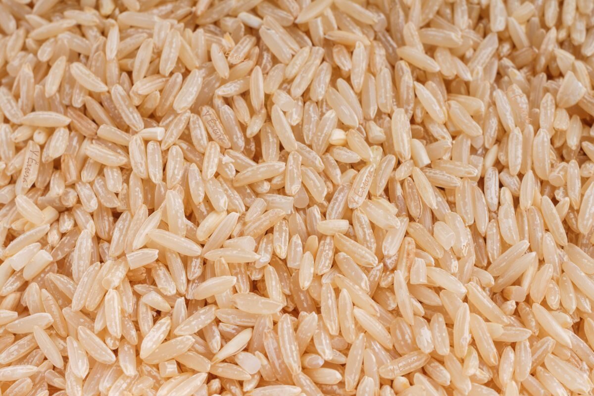 Рис: калорийность, польза и вред