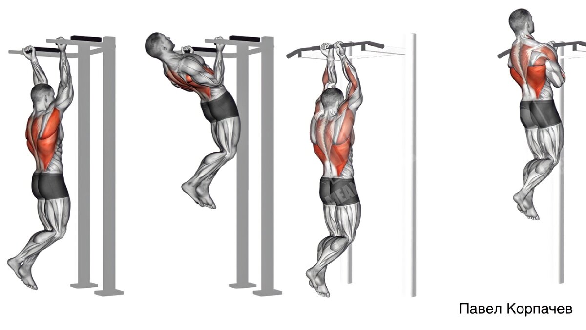 Подтягивание – базовое гимнастическое упражнение Разные вариации преимущественно нагружают спину или руки, но практически все – строят мышечный корсет, увеличивают силовые показатели, и укрепляют связки