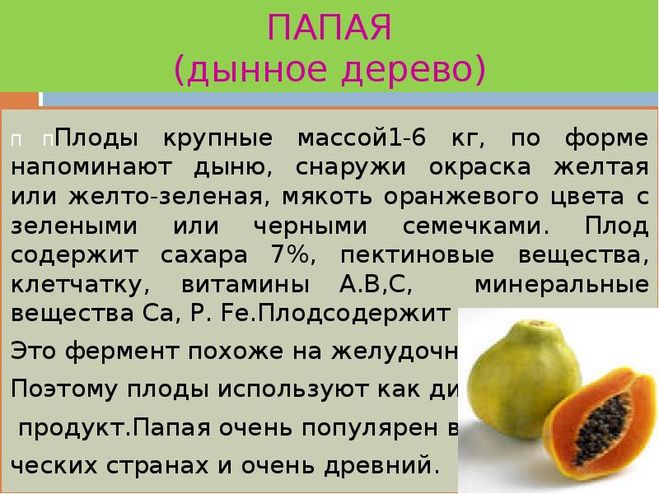 Полезные свойства сушеной папайи - портал обучения и саморазвития