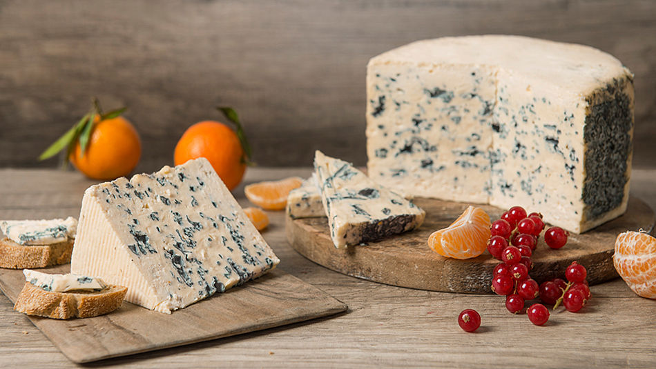 Сыр с плесенью: польза и вред, названия, фото, с чем едят, отзывы | zaslonovgrad.ru