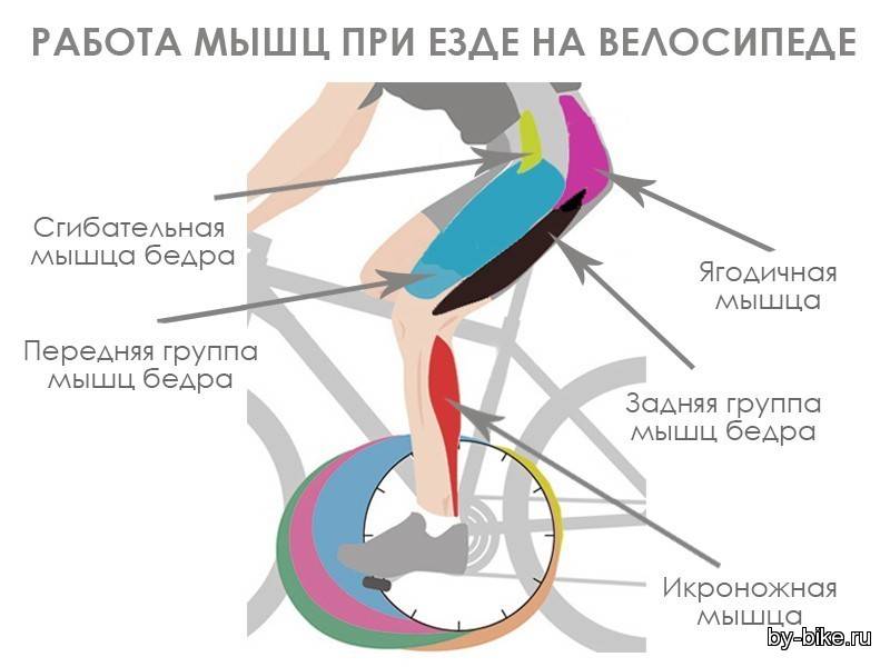 Упражнение велосипед на пресс — как и зачем его делать?