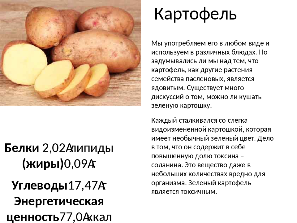 Калорийность ? картофеля сырого, пищевая ценность и бжу