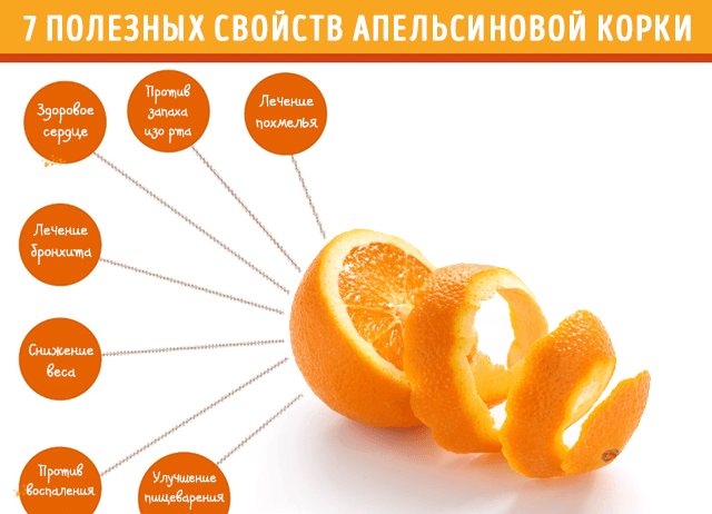 Польза и вред апельсинов, калорийность, состав, отзывы