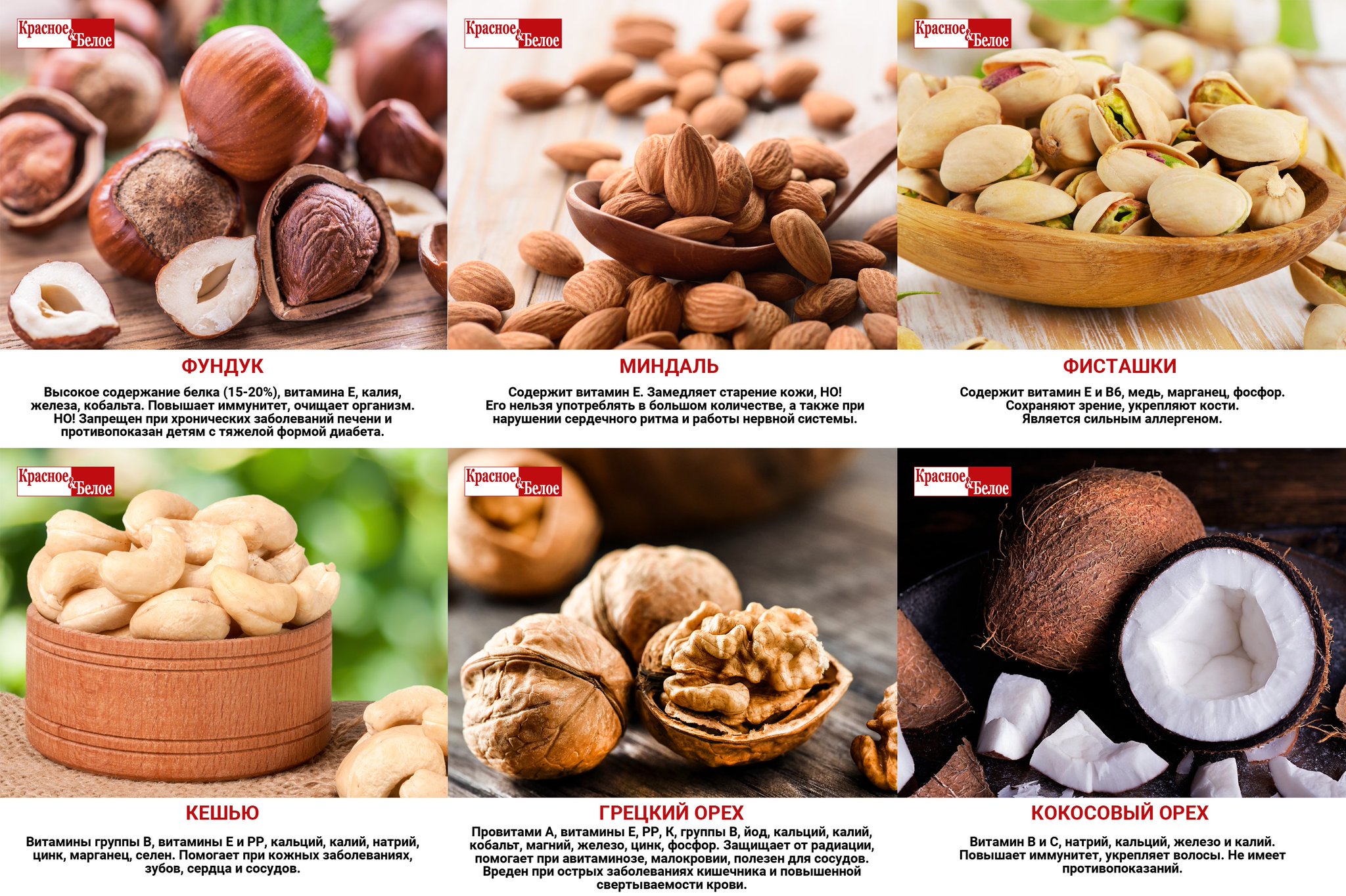 Сейшельский орех — описание, полезные и вредные свойства, состав, калорийность