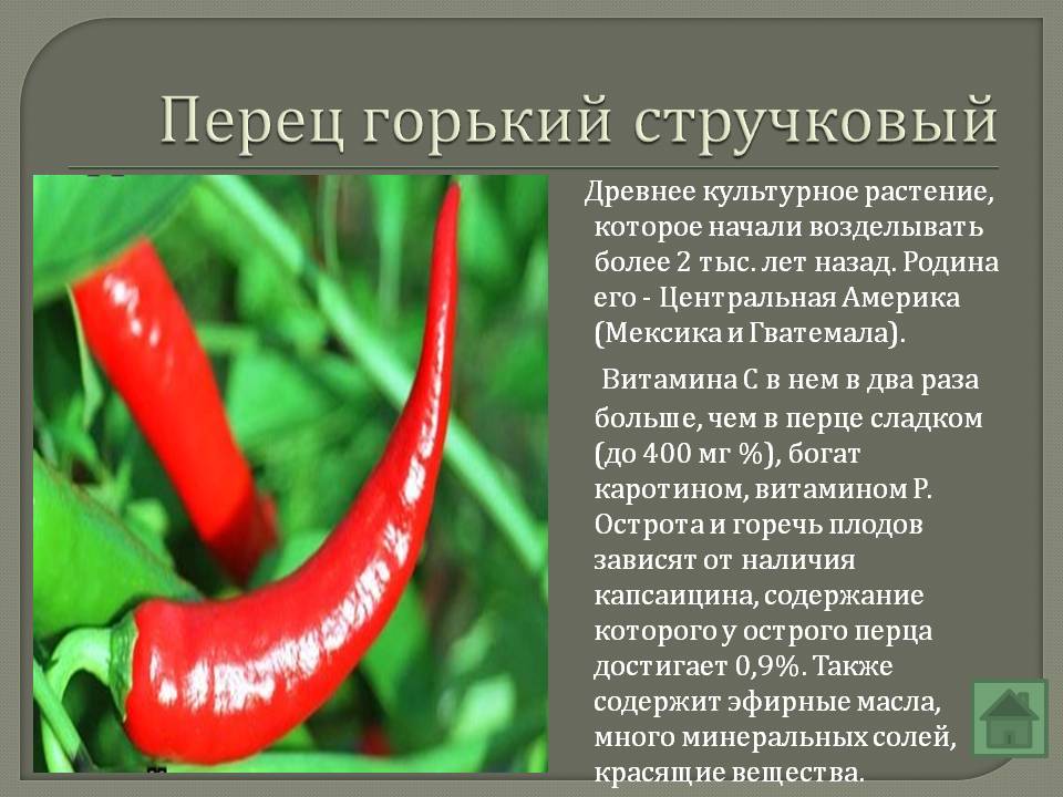 Болгарский перец: калорийность на 100 грамм, в 1 шт., польза, вред, витамины, минералы – хорошие привычки