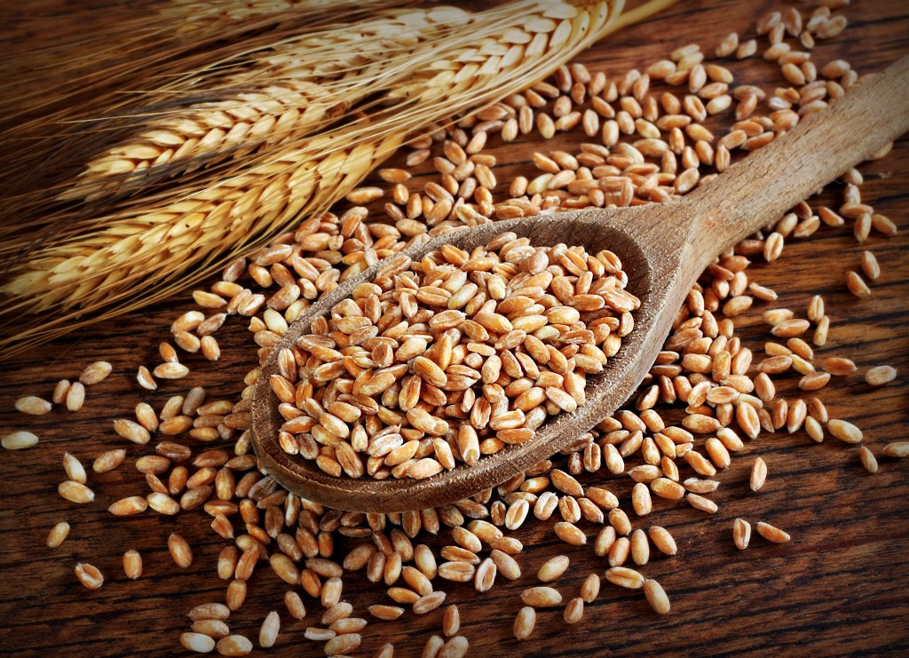 Калорийность пшеница твердая, зерно. химический состав и пищевая ценность. противопоказания к употреблению. полезные свойства пшеница мягкая, зерно