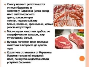 Польза и вред мяса