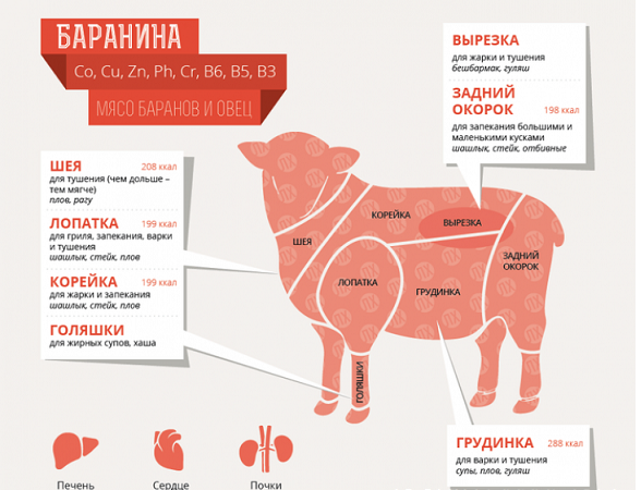 Баранина: польза и вред мяса для организма человека