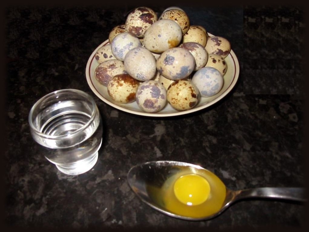 Польза и вред перепелиных яиц для здоровья взрослых и детей