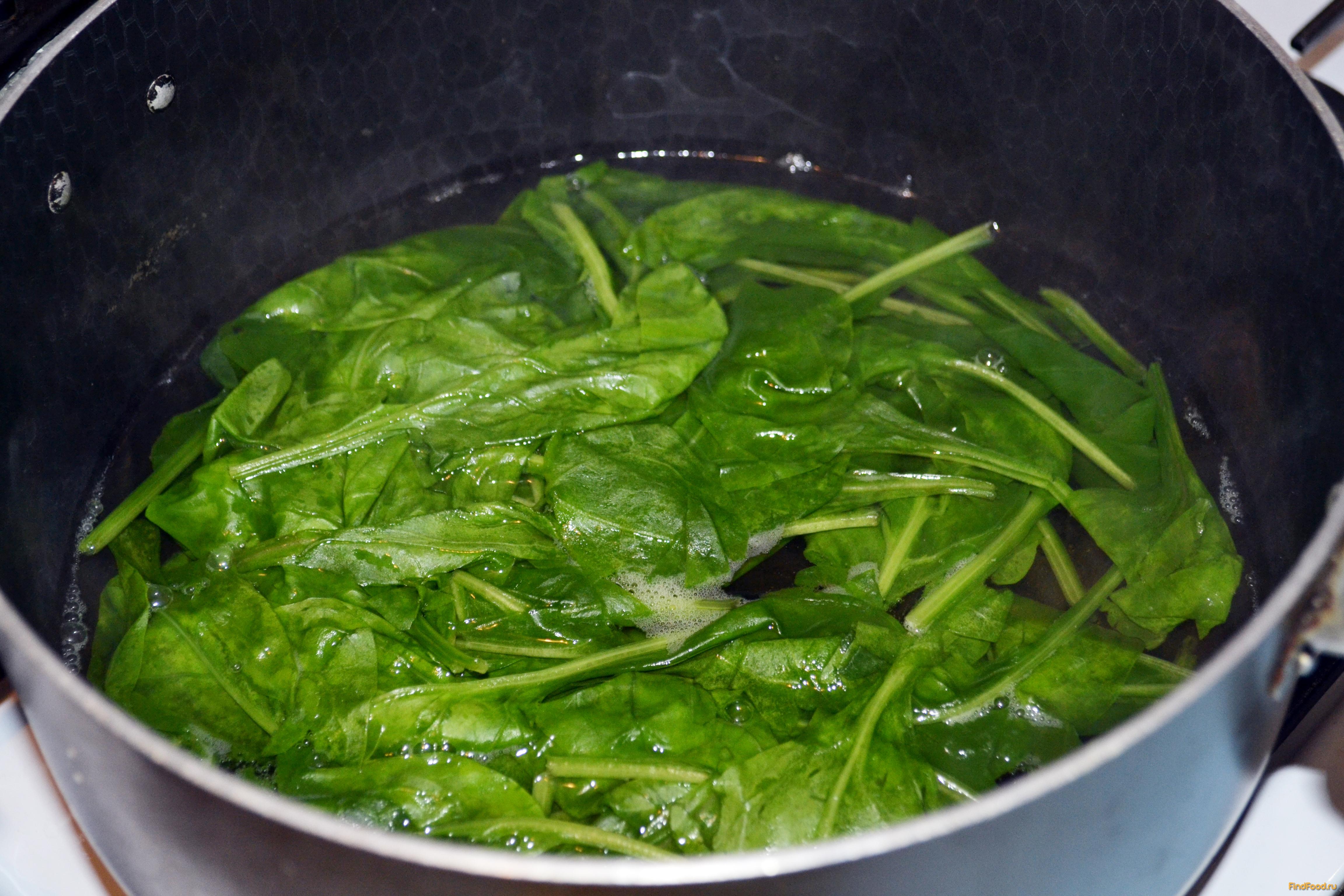 Как есть шпинат: как употреблять в пищу свежие, сушеные или замороженные листья шпината