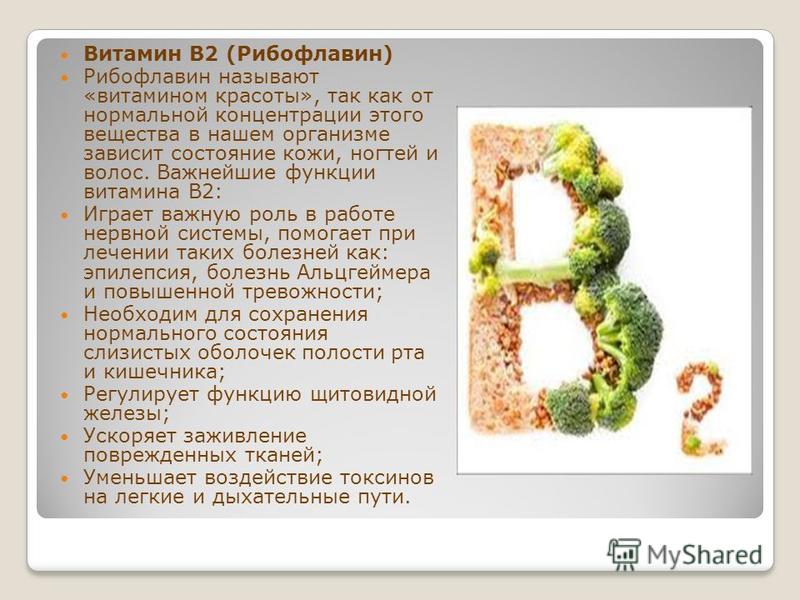 Витамин b2, рибофлавин: свойства, источники | food and health